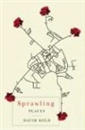 David Kolb - Sprawling Places