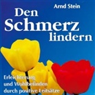 Arnd Stein - Den Schmerz lindern, 1 CD-Audio (Audiolibro)