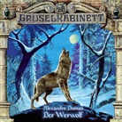 Alexandre Dumas, Alexandre Dumas père, Edith Schneider, Marianne Wischmann, Thomas N. Wolff - Der Werwolf, 1 Audio-CD (Livre audio)