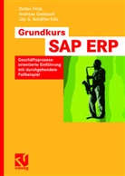 Detlev Frick, Andreas Gadatsch, Ute Schäffer-Külz, Ute G. Schäffer-Külz - Grundkurs SAP ERP