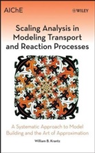 Wb Krantz, William B Krantz, William B. Krantz, KRANTZ WILLIAM B - Scaling Analysis in Modeling Transport and Reaction Processes