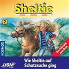 Peter Clover - Sheltie - Folge 2: Sheltie - Wie Sheltie auf Schatzsuche ging, 1 Audio-CD (Audio book)