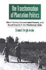 Sharon D Wright Austin, Sharon D. Wright Austin, Wright Austin Sharon D. - Thetransformation of Plantation Politics