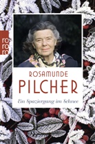 Rosamunde Pilcher - Ein Spaziergang im Schnee