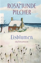 Rosamunde Pilcher, Annika Meier - Eisblumen