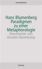 Hans Blumenberg - Paradigmen zu einer Metaphorologie