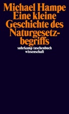 Michael Hampe - Eine kurze Geschichte des Naturgesetzbegriffs