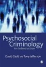 D Gadd, David Gadd, David Jefferson Gadd, David/ Jefferson Gadd, Gadd David, Tony Jefferson... - Psychosocial Criminology