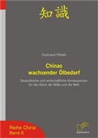 Ferdinand Pöllath - Der wachsende chinesische Ölbedarf