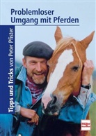 Peter Pfister - Problemloser Umgang mit Pferden