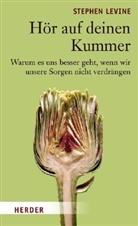 Stephen Levine - Hör auf deinen Kummer