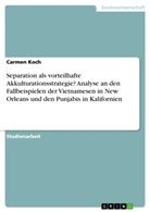 Carmen Koch - Separation als vorteilhafte Akkulturationsstrategie? Analyse an den Fallbeispielen der Vietnamesen in New Orleans und den Punjabis in Kalifornien