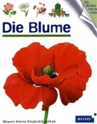 René Mettler - Die Blume