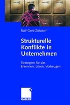 Ralf-Gerd Zülsdorf - Strukturelle Konflikte in Unternehmen