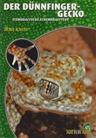 Jens Rauh - Der Dünnfingergecko