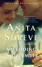 Anita Shreve - A Wedding in December