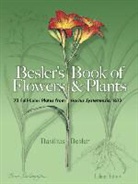 Basilius Besler - Besler's Book of Flowers and Plants