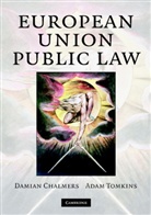 Damian Chalmers, Adam Tomkins - European Union Public Law
