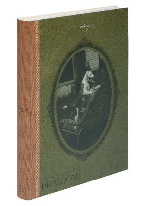 Catherin Johnson, Catherine Johnson, Johnson C, William Wegman, William Wegman, … - Dogs