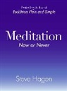 Steve Hagen - Meditation Now Or Never