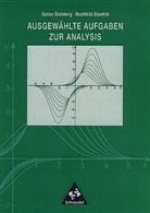 Mechthild Ebenhöh, Günter Steinberg - Ausgewählte Aufgaben zur Analysis