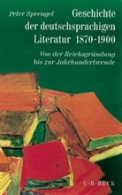Peter Sprengel, Pete Sprengel, Peter Sprengel - Geschichte der deutschen Literatur von den Anfängen bis zur Gegenwart - 9/1: Geschichte der deutschen Literatur  Bd. 9/1: Geschichte der deutschsprachigen Literatur 1870-1900