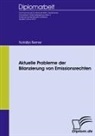 Natalija Berner - Aktuelle Probleme der Bilanzierung von Emissionsrechten
