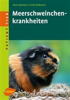 Frank Malkusch, Dori Quinten, Doris Quinten, Hellmu Woernle, Hellmut Woernle - Meerschweinchenkrankheiten
