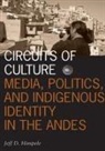 Jeff D. Himpele, Jeffrey D. Himpele, HIMPELE JEFFREY D - Circuits of Culture