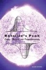 Allan Stoekl - Bataille's Peak