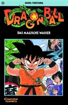 Akira Toriyama - Dragon Ball - Bd.13: Dragon Ball 13
