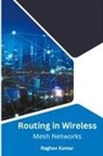 Raghav Kumar - Routing in Wireless Mesh Networks