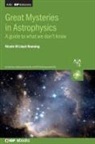 Nicole Lloyd-Ronning, Nicole (University of New Mexico Lloyd-Ronning - Great Mysteries in Astrophysics