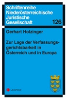 Gerhart Holzinger, Niederösterreichische Juristische Gesellschaft - Zur Lage der Verfassungsgerichtsbarkeit in Österreich und in Europa