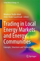 Amin Shokri Gazafroudi, Miadreza Shafie-khah, Shokri Gazafroudi - Trading in Local Energy Markets and Energy Communities