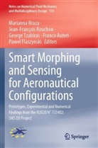Franco Auteri, Marianna Braza, Pawel Flaszynski, Jean-François Rouchon, George Tzabiras, George Tzabiras et al - Smart Morphing and Sensing for Aeronautical Configurations