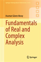 Asuman Güven Aksoy, Sam Nelson - Fundamentals of Real and Complex Analysis