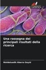 Woldetsadik Aberra Geyid - Una rassegna dei principali risultati della ricerca