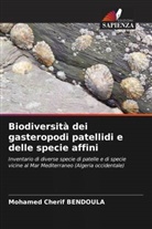 Mohamed Cherif Bendoula - Biodiversità dei gasteropodi patellidi e delle specie affini