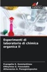 Efthymios G. Fasoulakis, Evangelia K. Konstantinou, Athanasios A. Panagiotopoulos - Esperimenti di laboratorio di chimica organica II