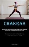 Stephan van Dijken - Chakras