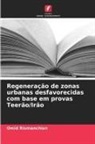 Omid Rismanchian - Regeneração de zonas urbanas desfavorecidas com base em provas Teerão/Irão
