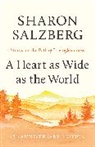 Sharon Salzberg - A Heart as Wide as the World
