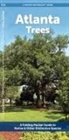 Waterford Press - Atlanta Trees