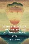 James Joyce - A Portrait of the Artist as a Young Man
