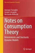 Bellocchi, Alessandro Bellocchi, Giorgio Calcagnini, Giuseppe Travaglini, Guiseppe Travaglini - Notes on Consumption Theory
