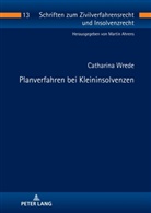 Catharina Wrede, Martin Ahrens - Planverfahren bei Kleininsolvenzen