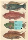 Antonio Parra, Manuel Antonio Parra - Descripción de diferentes piezas de historia natural
