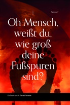 Farhad Farassat - Oh Mensch, weißt du, wie groß deine Fußspuren sind?