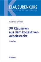Hartmut Oetker - 30 Klausuren aus dem kollektiven Arbeitsrecht